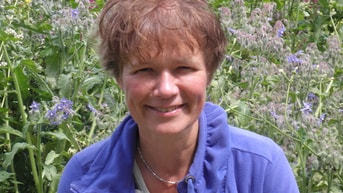 Paulien