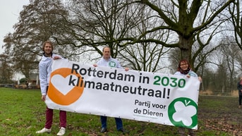 Top 3 Rotterdam GR22