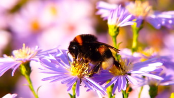 Krzysztof Niewolny 1170833 Unsplash 1