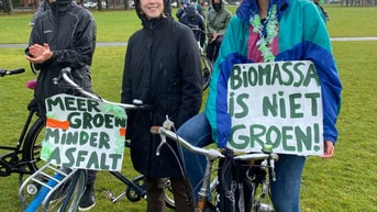 Biomassa is niet groen