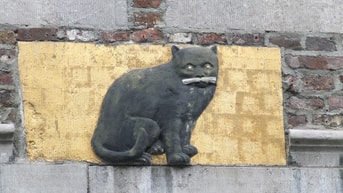 Gevelsteen kat