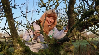 Margriet boom