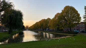 Oostersingel