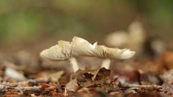 Anja van de gronde 0 Baut GT0o V8 unsplash
