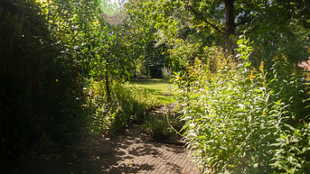 Achtertuin