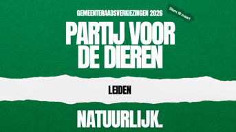 Programma Leiden Banner 2
