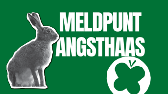 Meldpunt angsthaas pvdd nh