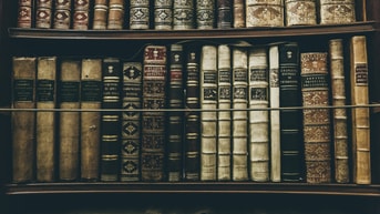 Thomas kelley h HL08l F7 Ikc unsplash