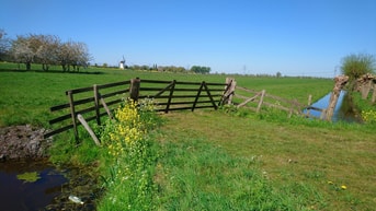 Zuid Holland Banner Weiland