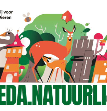 Kunstwerk PNG