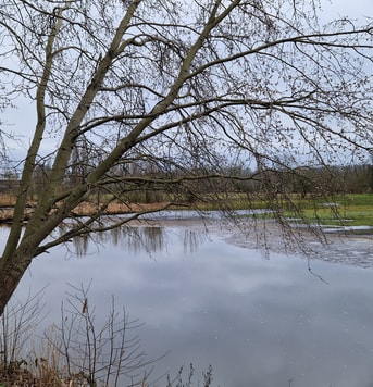 Dommel Eindhoven