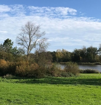 Foto Vera van Dijk 26 oktober 2019 website gespiegeld