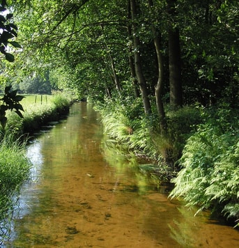 Leuvenumse beek