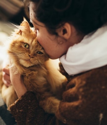 Vrouwkustkat