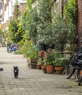 Groenindestraat