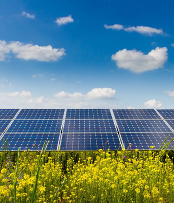 Zonnepanelen