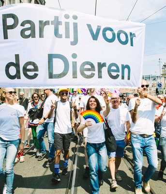 Pridewalk lhbt lhbti pride walk