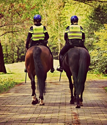 Politie te paard