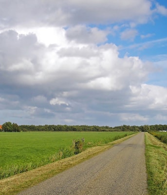 Buitengebied landschap weiland