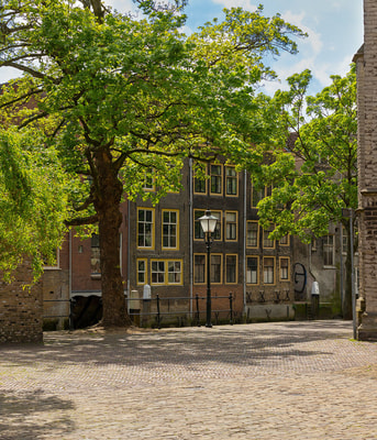 Frans koning C Rjx D30vjd0 unsplash Erfgoed web