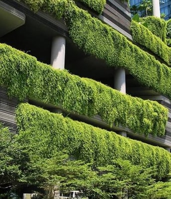 Groene stad