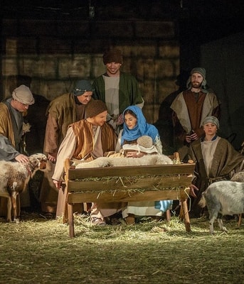 Levende kerststal