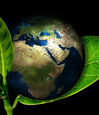 Aarde planeet blad