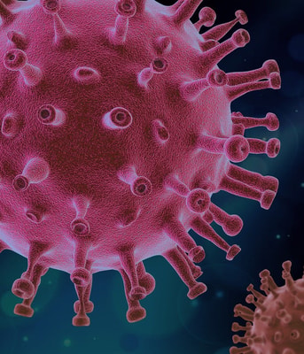 Corona virus