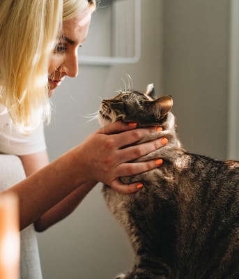 Dierenarts anicura pvdd partij voor de dieren