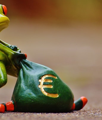 Frog 1234781 1920