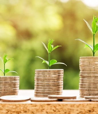 Geld met plantjes