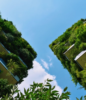 Groen gebouw natuurinclusief