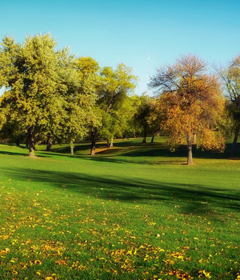 Park