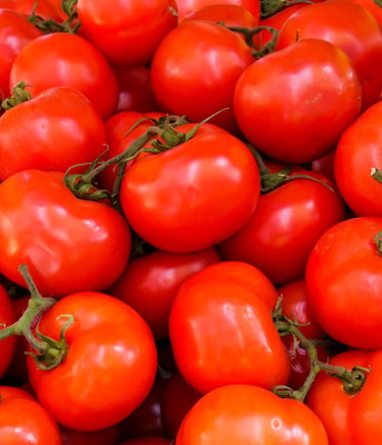 tomaten groente fruit eten gezond gif landbouwgif