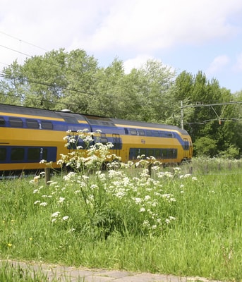 Trein ©Istockphoto Com Bies