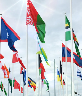 Vlaggen verenigde naties vn wereld landen