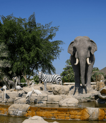 Olifant dierentuin