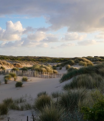 Duinen Den Haag