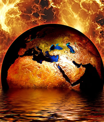 3 1 biodiversiteitklimaatcrisis