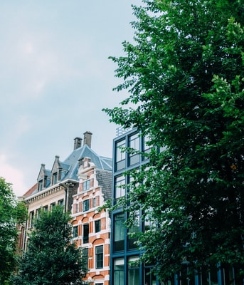 Pexels adrien olichon 3884477