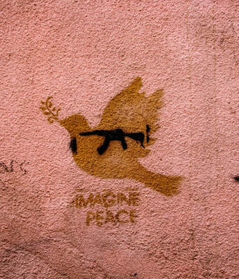 Zaur ibrahimov ant Pbwi Opb8 unsplash