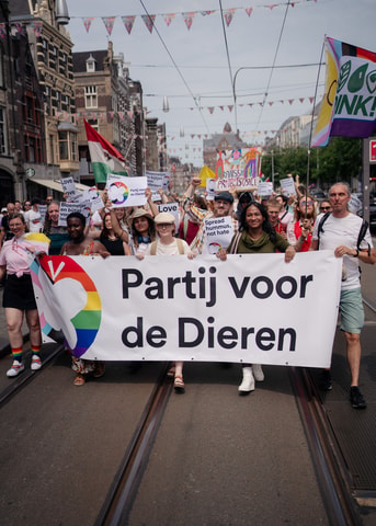 Pride Walk 2025 Pvd D 84 by Isabell Janssen Outsider i