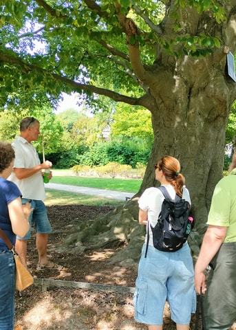 Wandeling Schiedam West