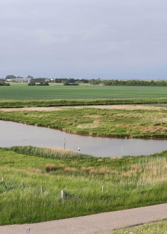 Natuur naast akker