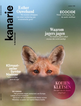 Kanarie OMSLAG semidef