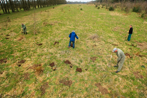 Aanleg bomen plantage willem 3 2012 4