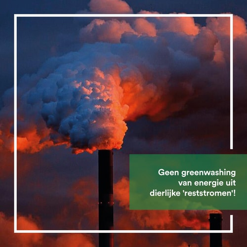 Afb energie uit slachtafval