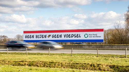 Bijen Header