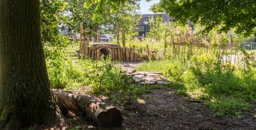 Groen Schoolplein