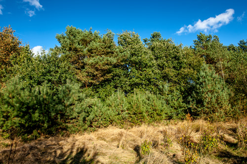 Plantage Willem III gemaakt 2016 2